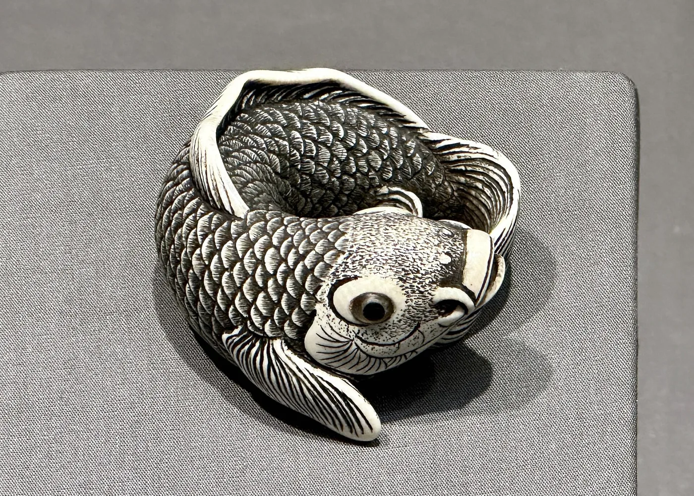 Netsuke carved as a carp curled round on itself, its scales finely incised and its inlaid eyes dark, lying on a grey mount
