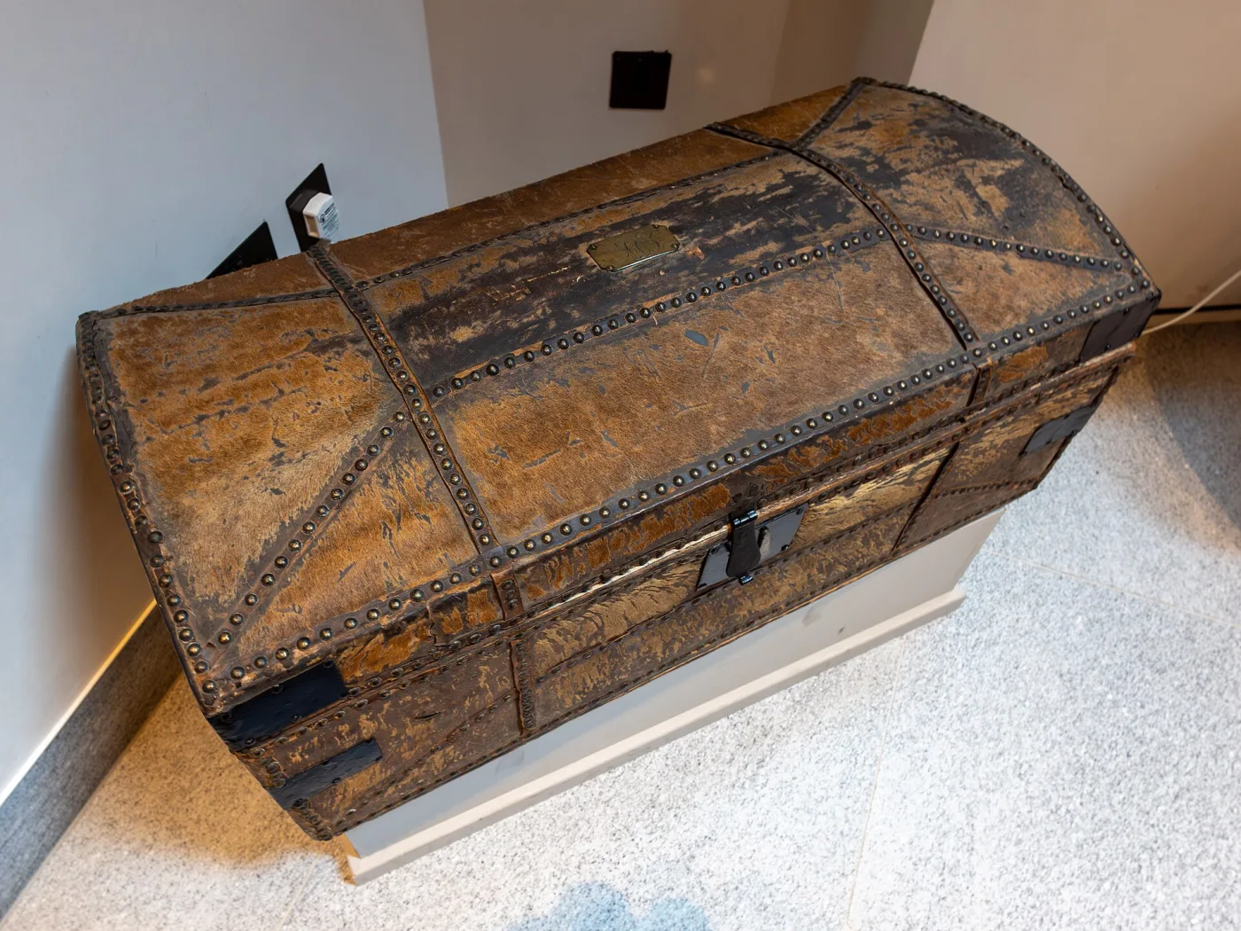 Dome-top trunk covered in hide with the hair still on it, bound with iron straps and studded with rows of nails, standing on a low plinth in a panelled hall