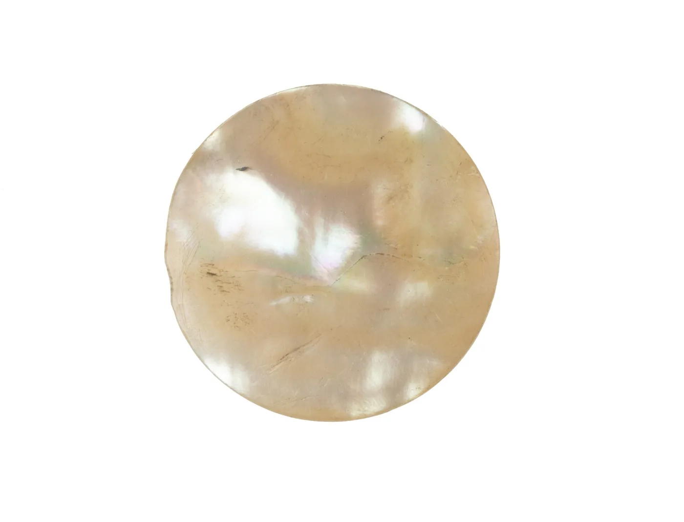 Plain iridescent mother-of-pearl button photographed against white, its pale cream surface crossed by faint parallel growth banding under a shifting sheen