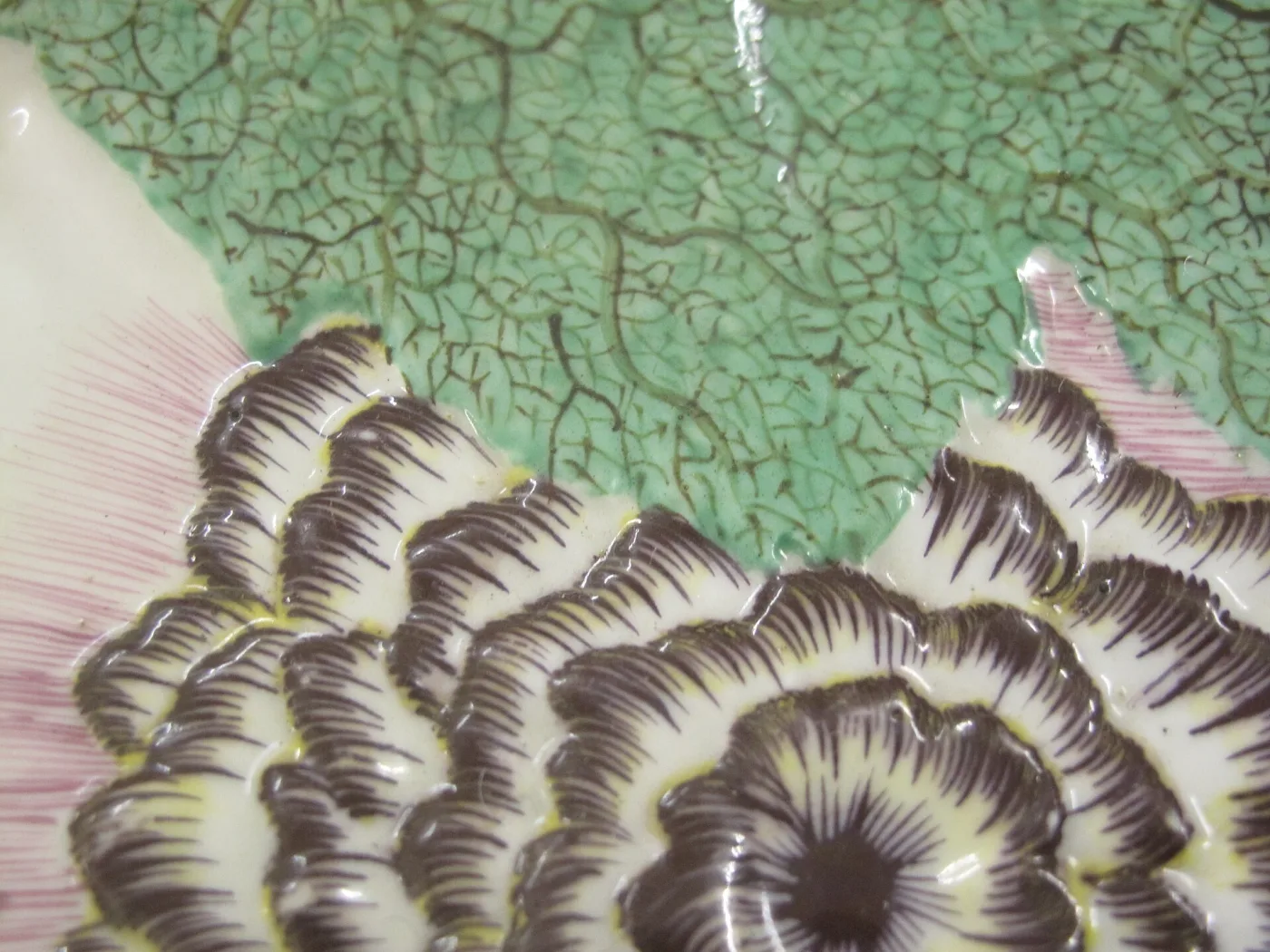 Close-up of a glazed dish where a green leaf with fine brown veins meets a cream bloom outlined in purple and yellow