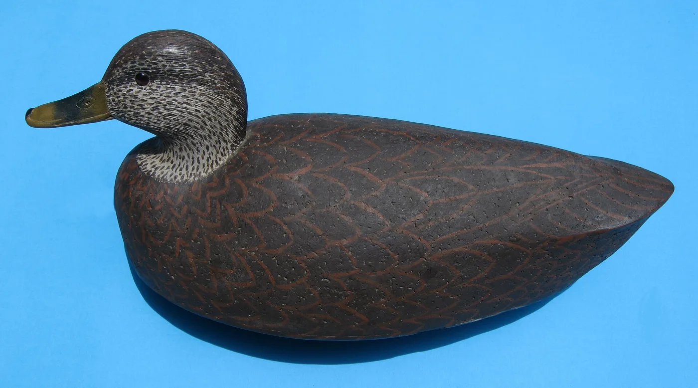 Contemporary black duck decoy with crisp combed feather painting, an unmarked bill and a clear glass eye, photographed on a blue background