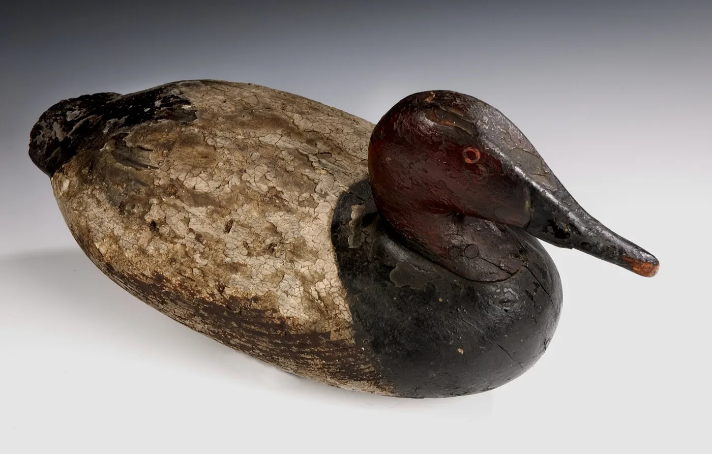 Working wooden canvasback duck decoy with a dark red head, black breast and a heavily crackled white flank, resting on a plain background