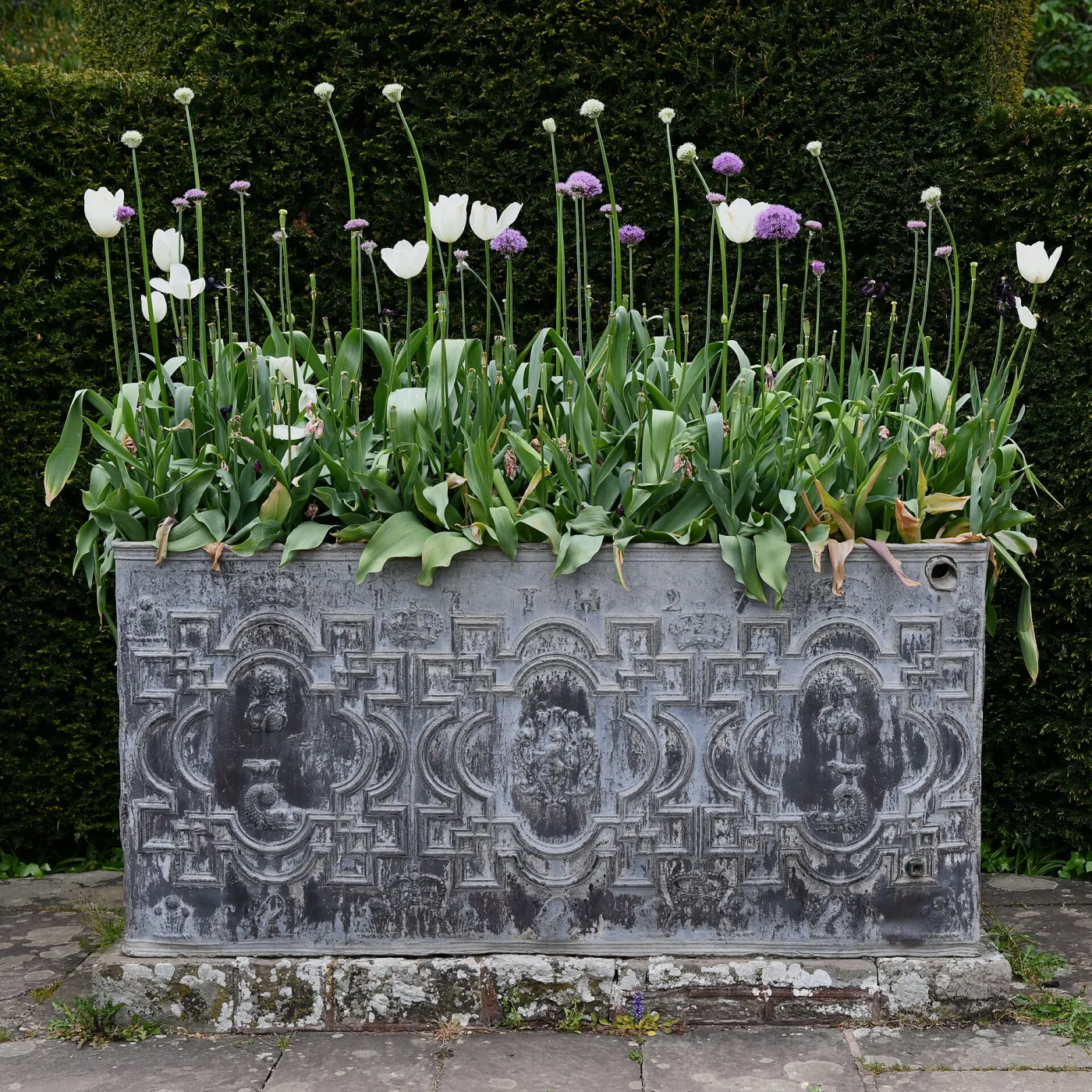 Lead cistern planted with white tulips and alliums, its front cast with strapwork panels, cherub masks and crowns, standing on a low stone plinth against a yew hedge