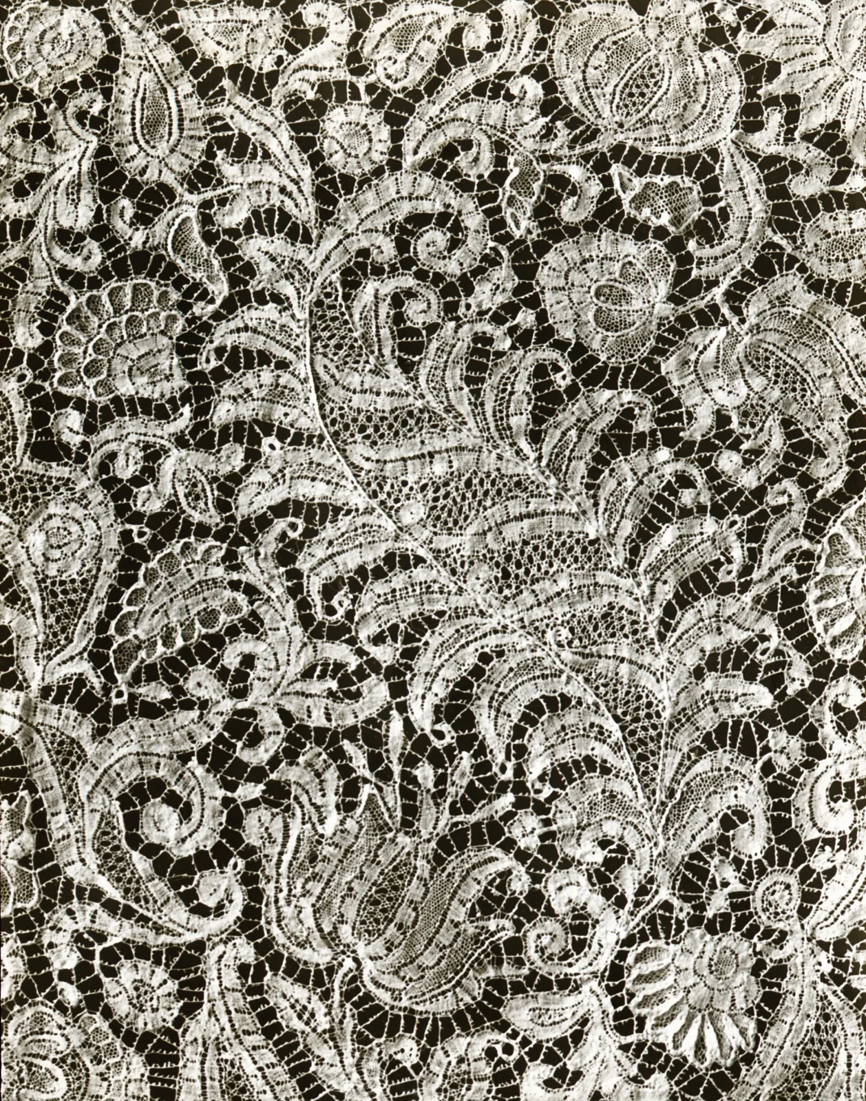Dense allover lace of fine cream thread, its surface completely filled with scrolling leaves and flower sprays with almost no open ground visible between them