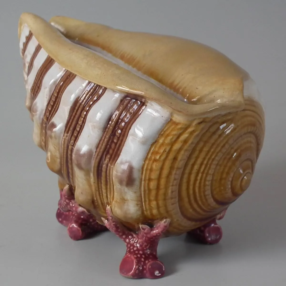 Spoon warmer modelled as a large nautilus shell with a spiralled ribbed surface in cream and brown, resting on branches of pink coral