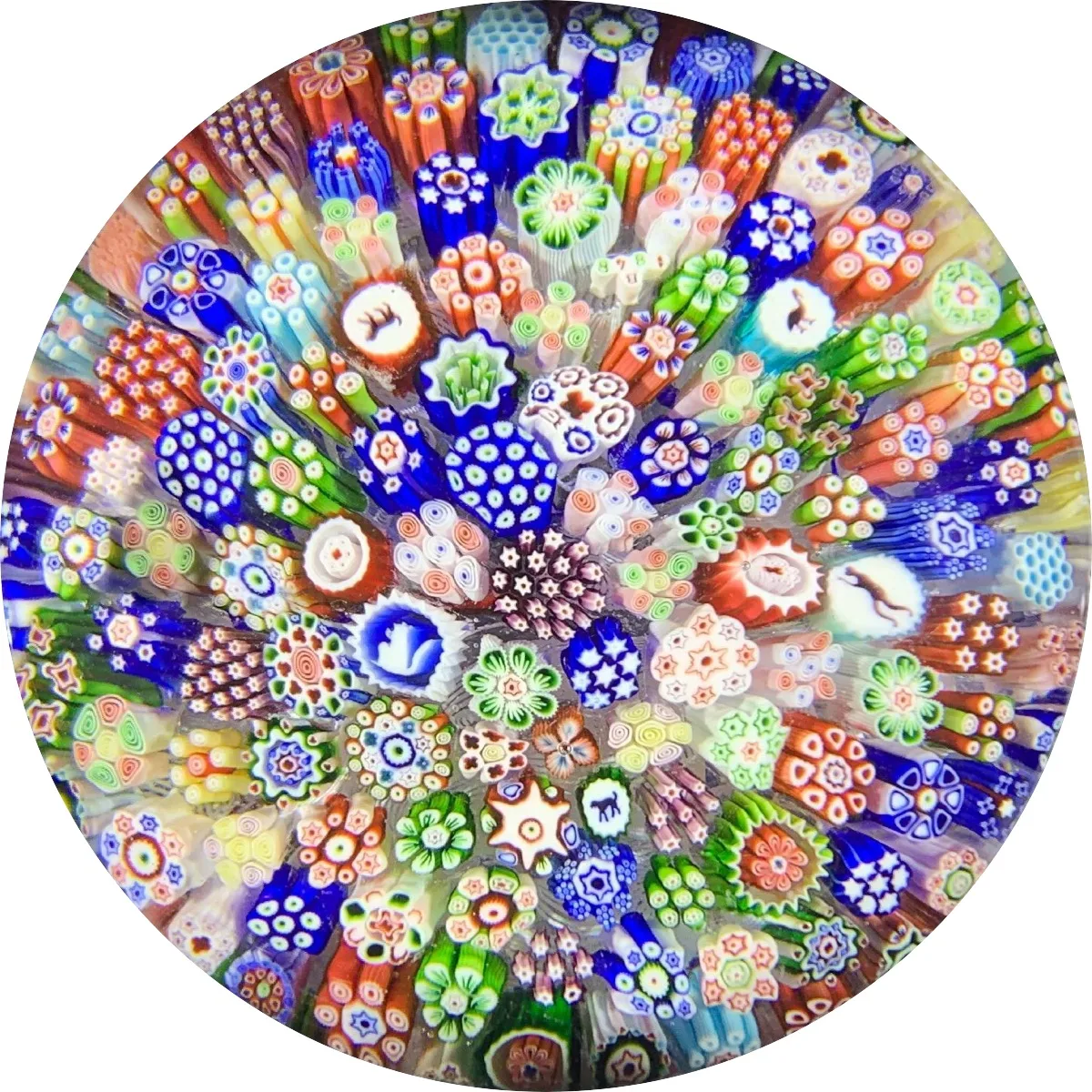 Close-packed millefiori paperweight filled edge to edge with brightly coloured canes, several of which contain small animal silhouettes in white