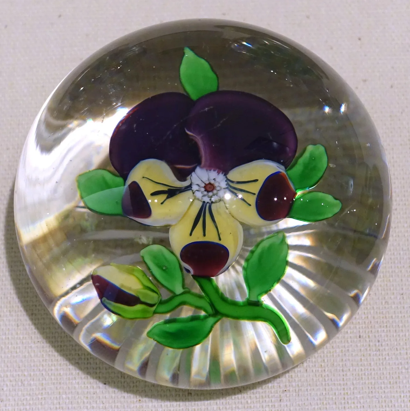Paperweight enclosing a lampwork pansy with two deep purple upper petals and three yellow lower petals, on a green stem with leaves above a white latticinio cushion