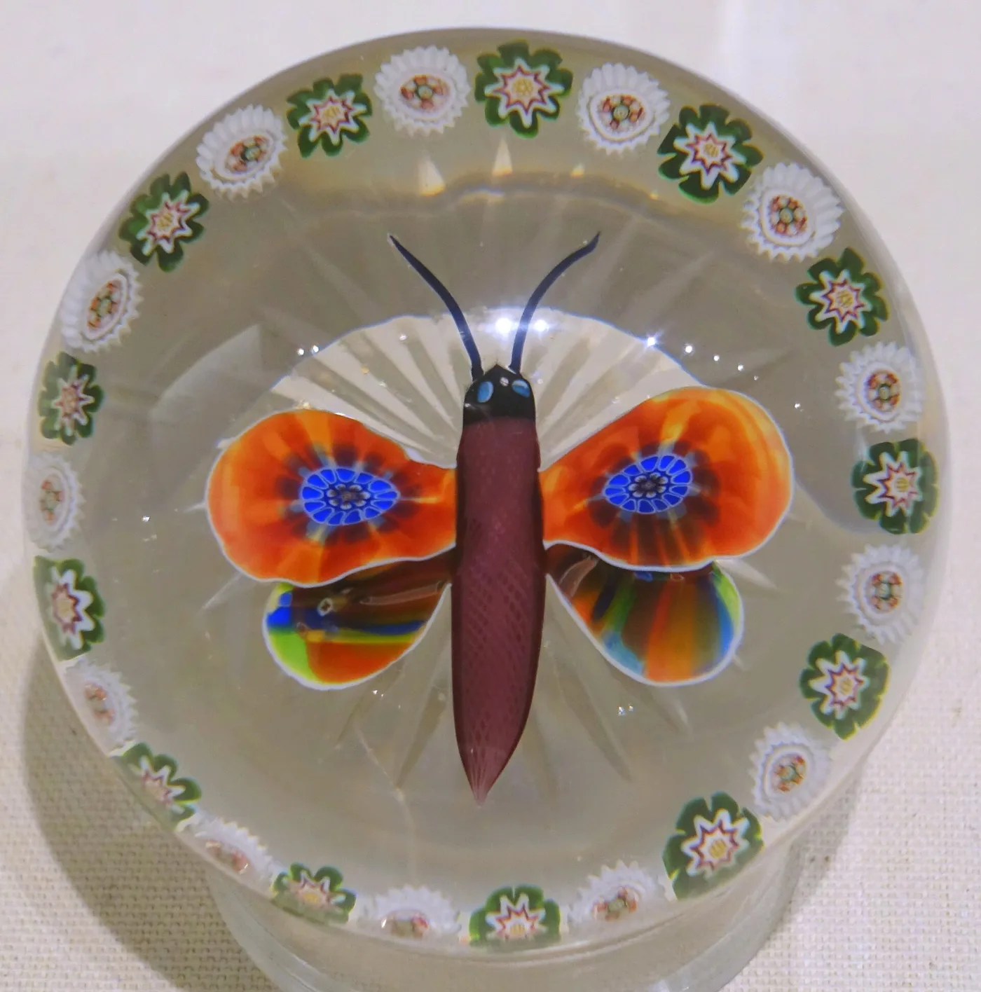 Domed glass paperweight enclosing a lampwork butterfly with orange and blue wings and a purple body, hovering above a ring of white and green millefiori canes