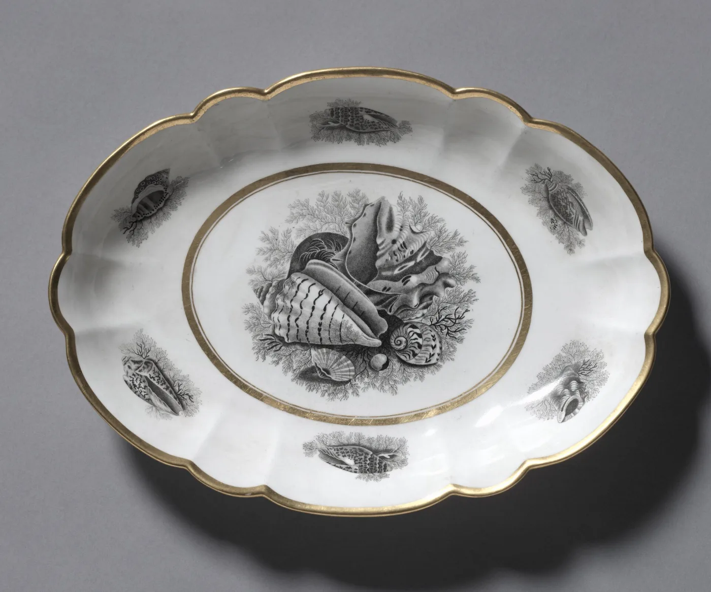 Oval scalloped dish with a gilded rim, printed in black with a central group of shells and seaweed and single shells around the border