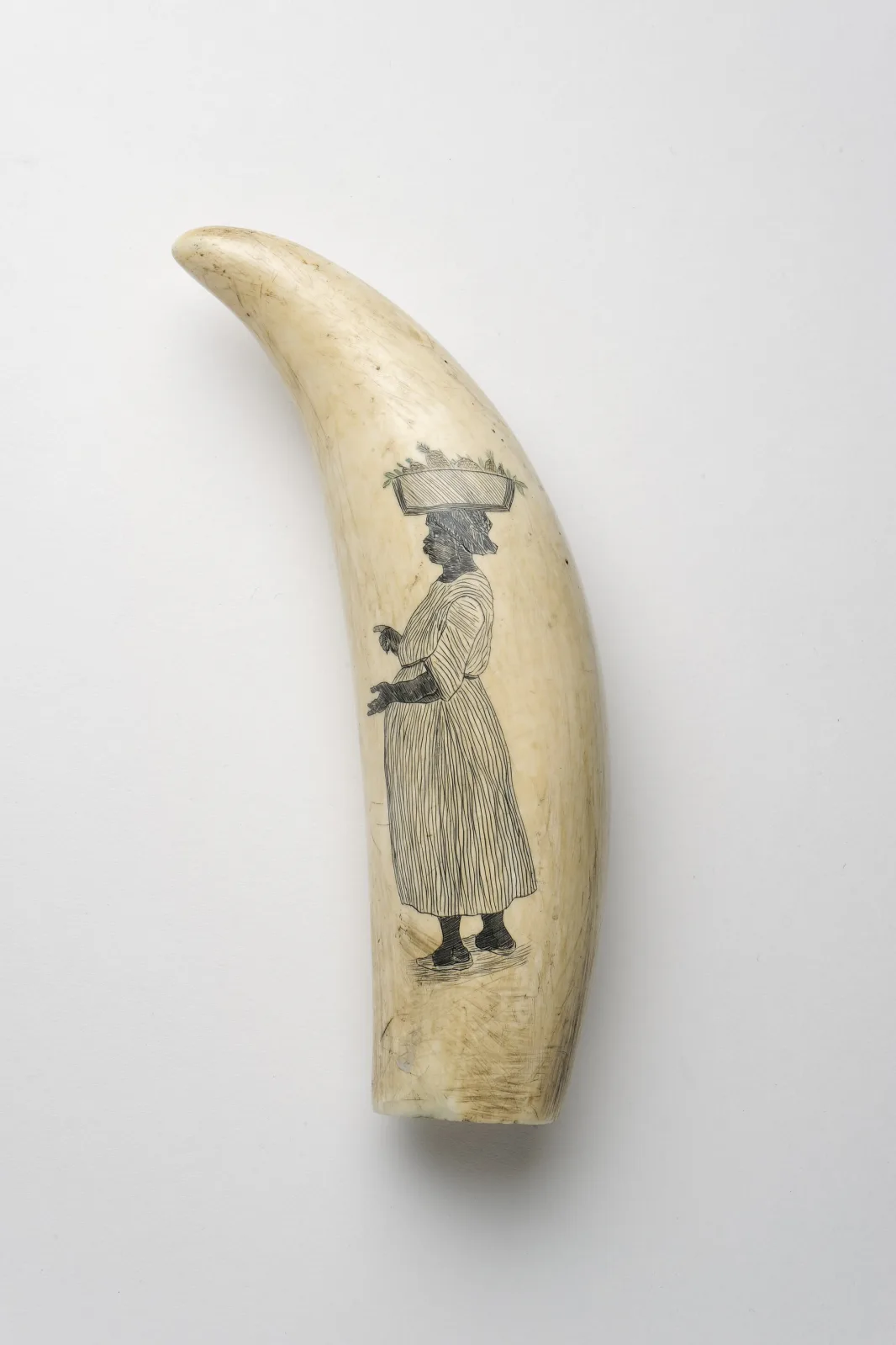 Curved cream-coloured whale tooth standing on end, its flat face engraved in fine black line with a standing woman in a long dress and a wide hat, the surface polished and faintly grained
