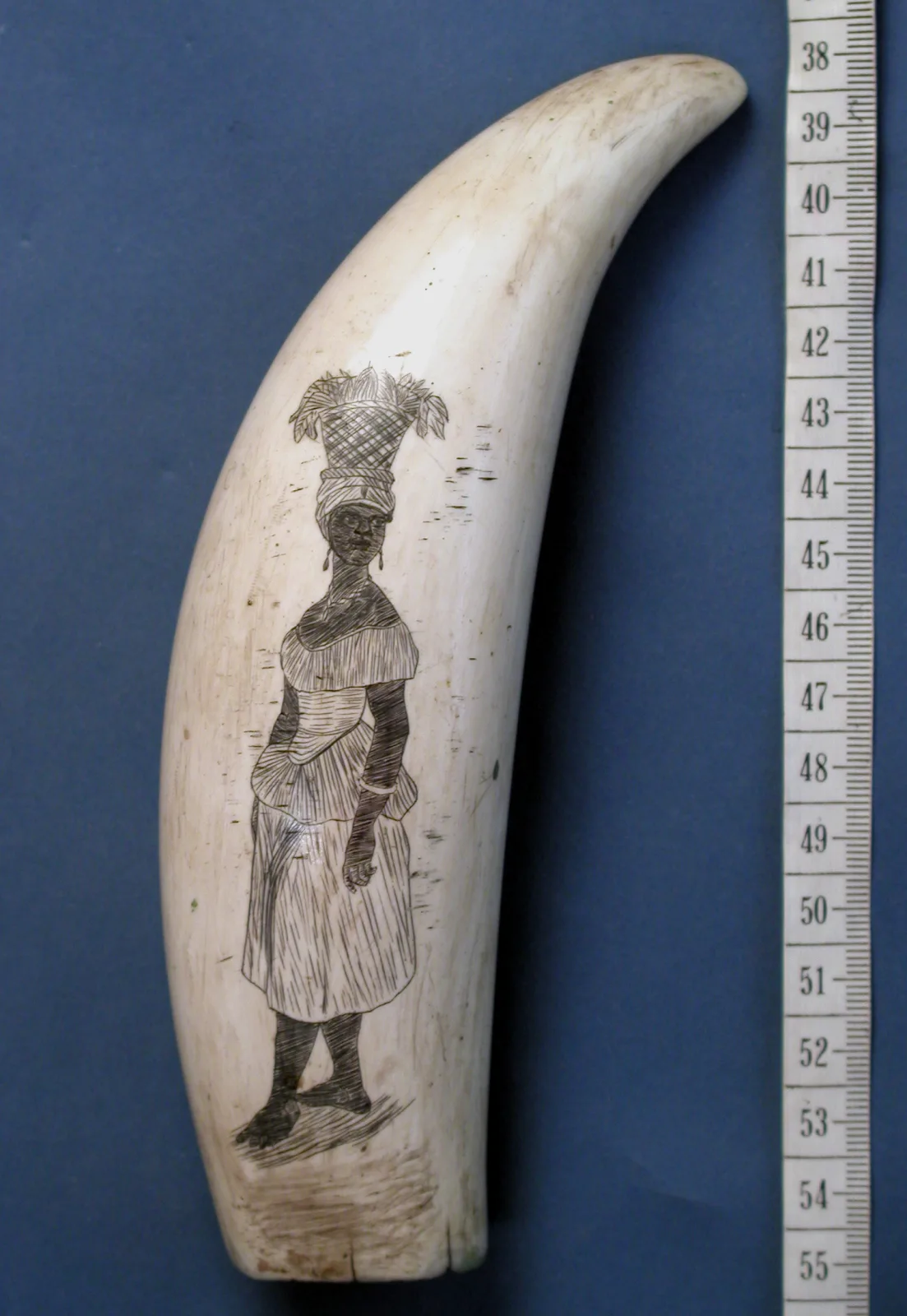 The engraved whale tooth photographed lying against a printed measuring tape, which shows it spanning roughly the width of a hand
