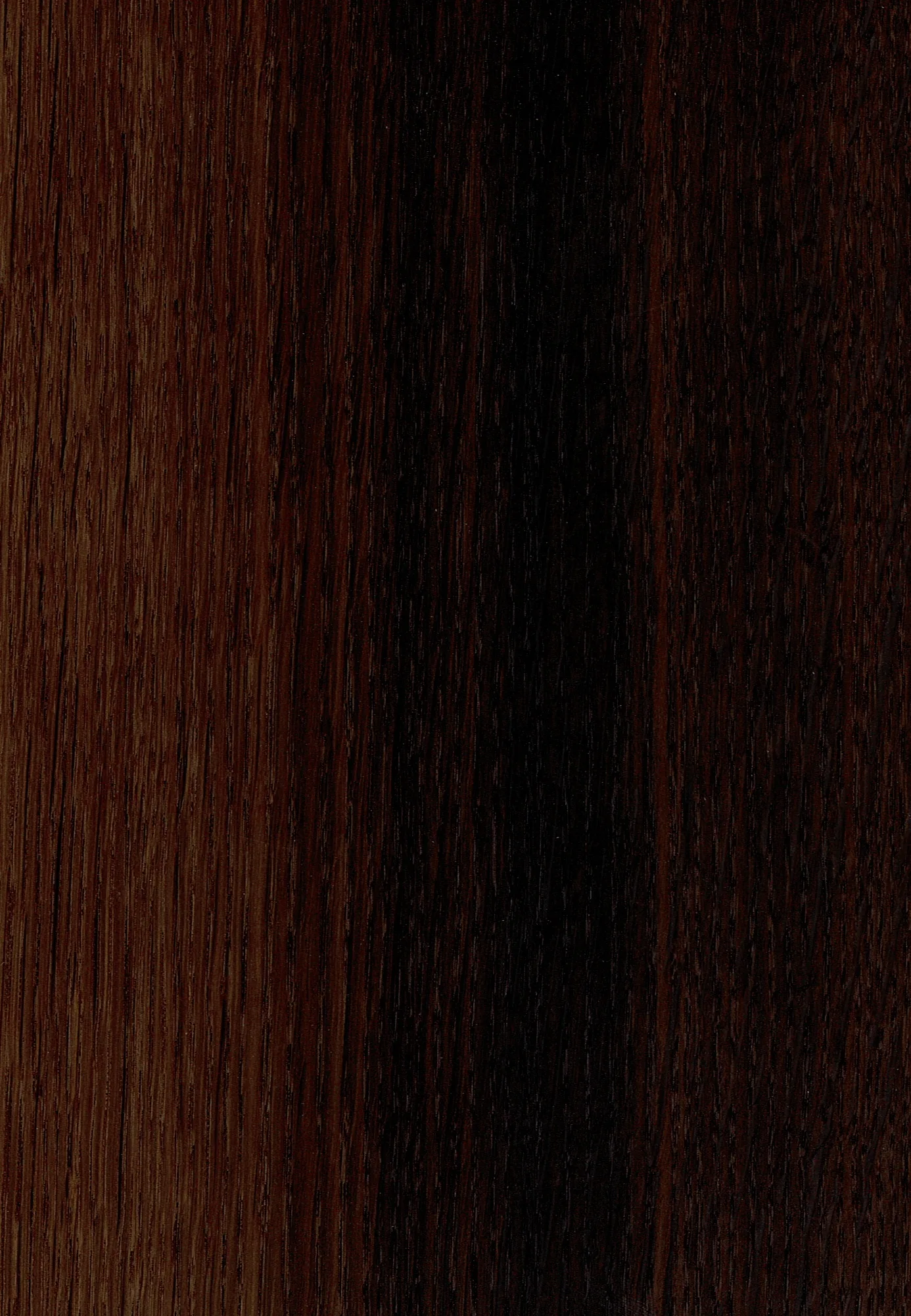 Close view of an oak board running from warm mid-brown on one side to almost black on the other, with fine straight grain throughout