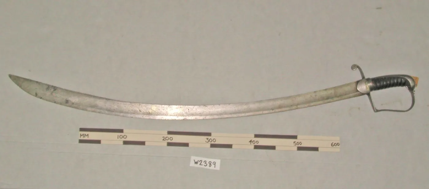 Curved cavalry sabre photographed beside a 600 millimetre scale bar and an accession label