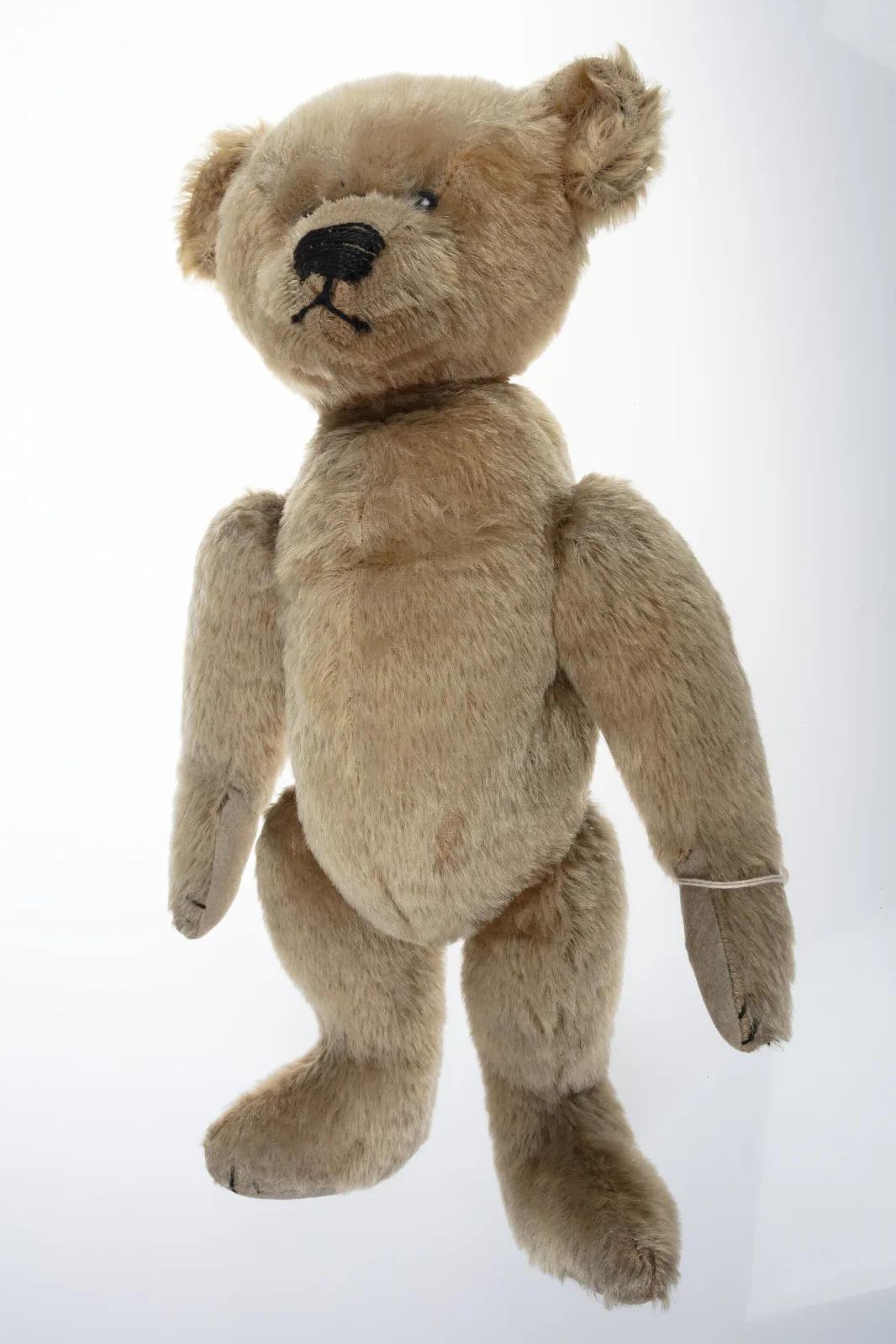 Full-length view of an early beige mohair teddy bear standing, showing a pronounced hump at the top of the back, long curved arms reaching below the hips, and jointed shoulders and hips