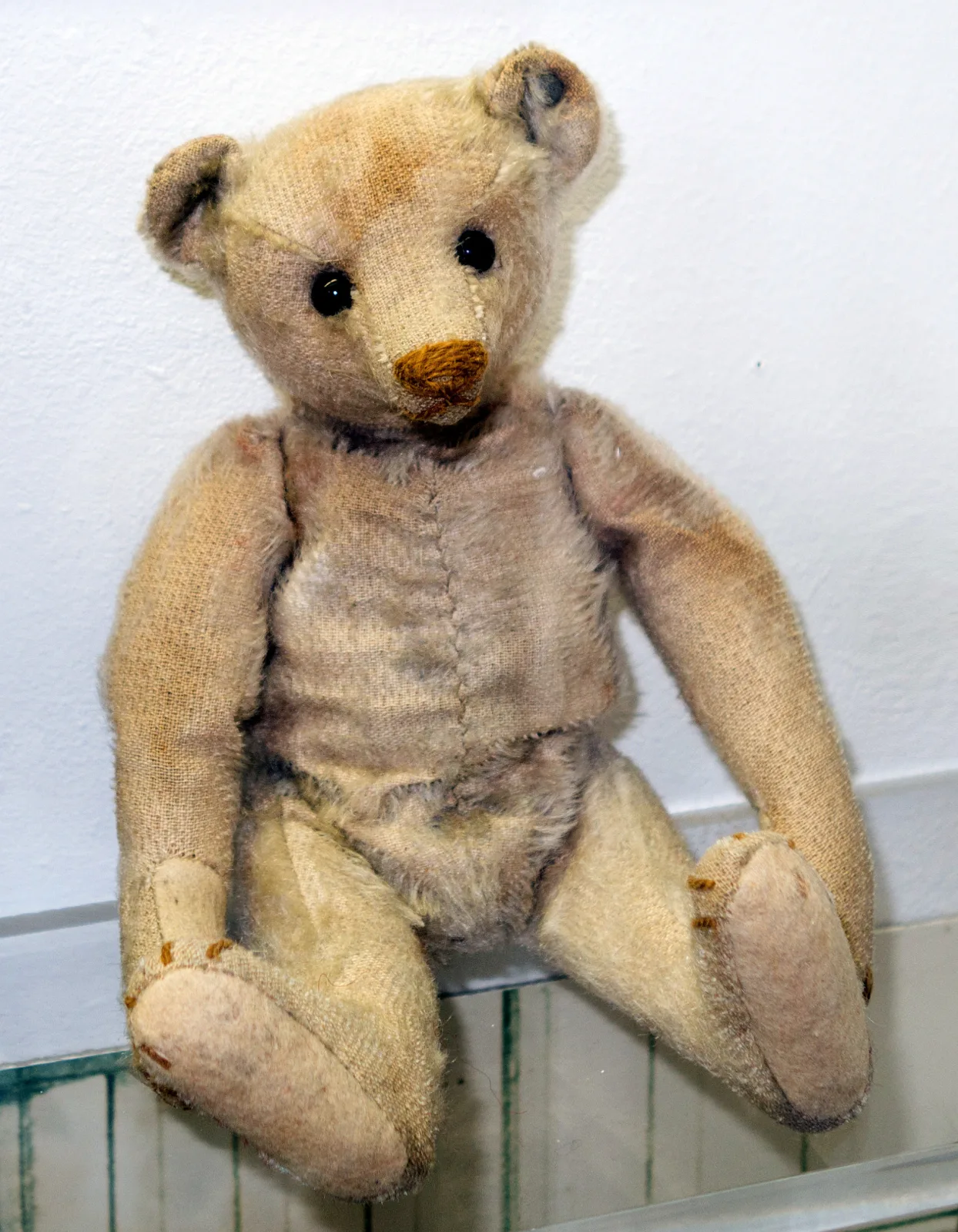 Heavily worn antique Steiff bear seated on a glass shelf, the mohair rubbed away to bare backing cloth across the whole front of the body and the seams and joint lines clearly visible through it