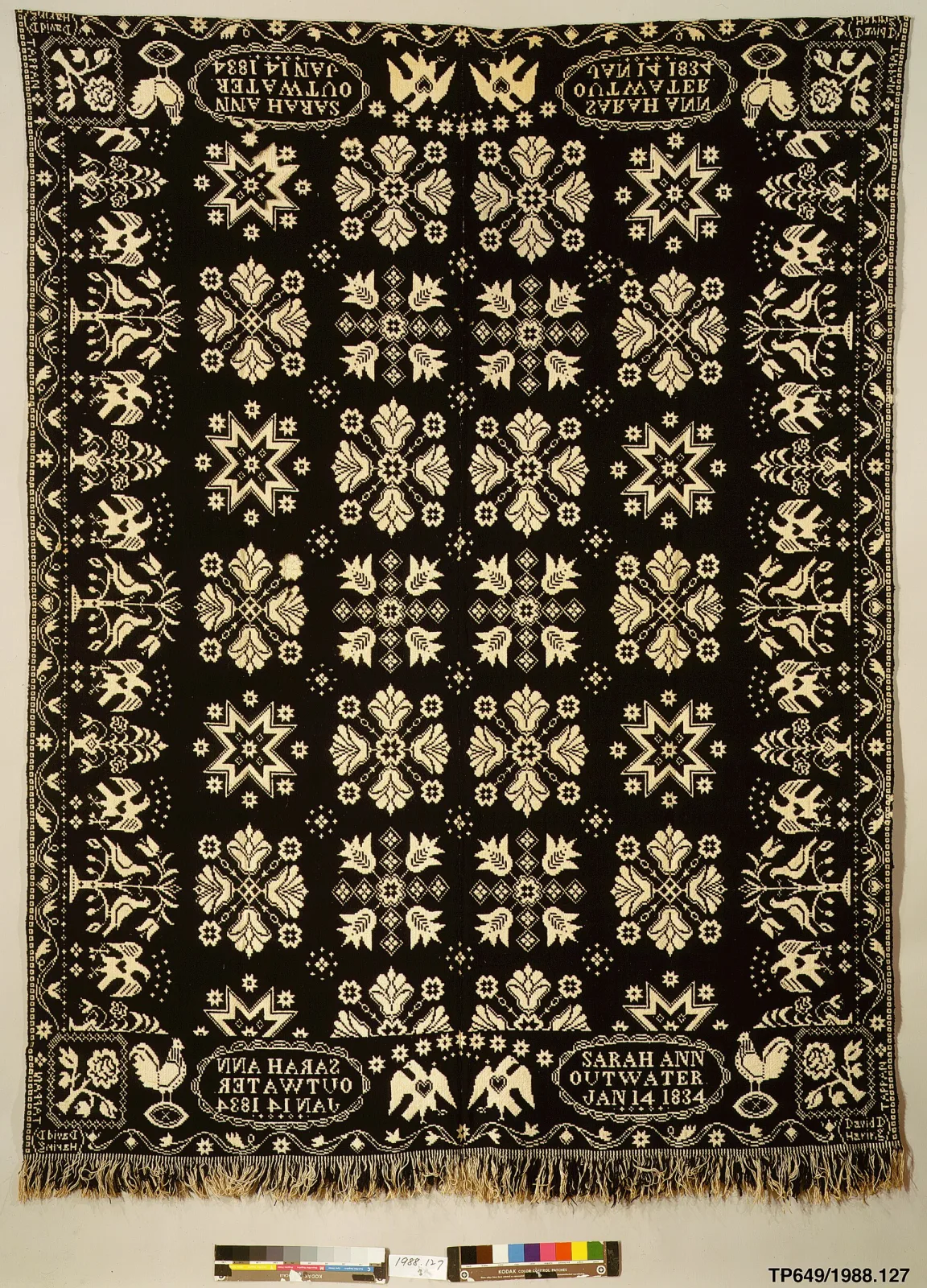 Blue and white jacquard coverlet hung full length, its field covered with rows of large flower medallions and its lower border woven with rows of birds and trees above a fringe