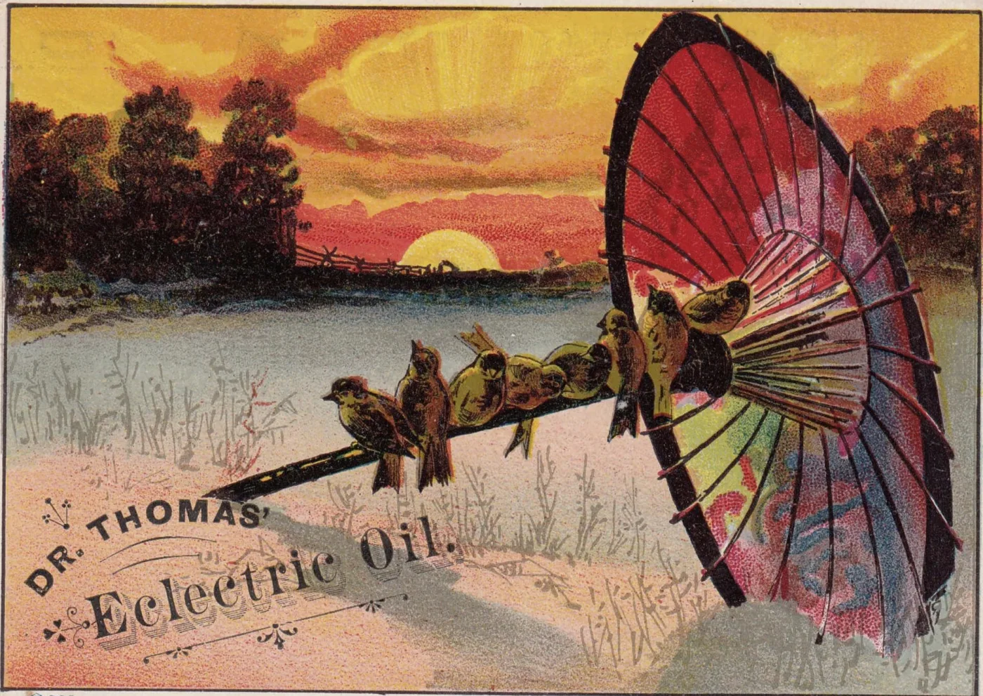 Chromolithographed advertising card showing four small birds perched on the handle of an open red and green parasol against an orange sunset over a lake, with the words Dr Thomas' Eclectric Oil across the lower edge
