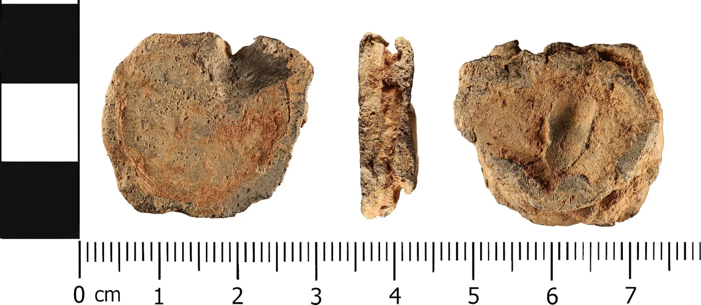 Three views of a small irregular lead alloy plug &mdash; front, edge and back &mdash; photographed against white beside a centimetre scale