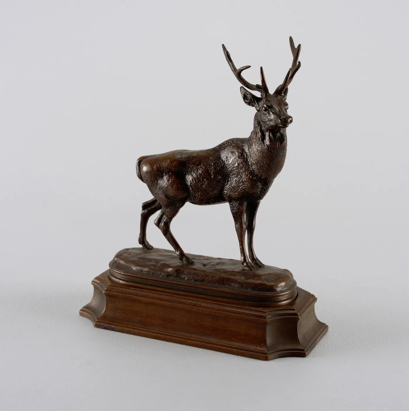 Bronze statuette of a standing stag with raised head and full antlers, bolted to a hollow rectangular bronze base which sits on a separate chamfered wooden plinth